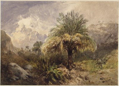 Palmbomen in de bergen door Eduard Hildebrandt
