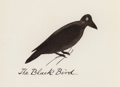 Edward Lear, Het Vogelboek: De zwarte vogel door Edward (after) Lear