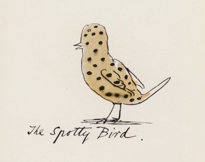 Edward Lear, Het Vogelboek: De Gevlekte Vogel door Edward (after) Lear