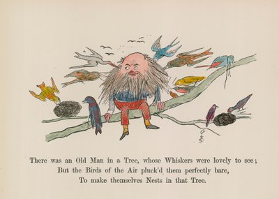 Er was een oude man in een boom, wiens snorren prachtig waren om te zien door Edward (after) Lear