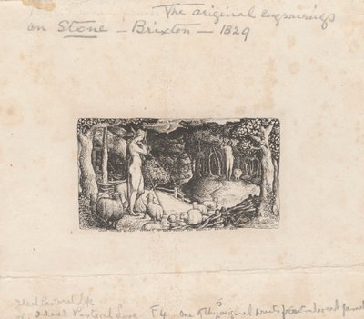 Ideaal Pastoraal Leven door Edward Calvert