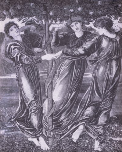 De tuin van Hesperides, Bibbys Jaarboek door Edward Coley (after) Burne Jones
