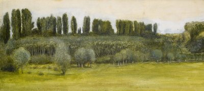 Landschap met wilgen en populieren, studie door Edward Burne Jones