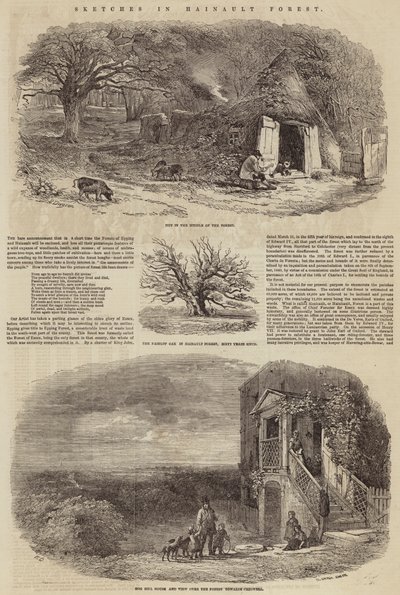 Schetsen in Hainault Bos door Edward Duncan