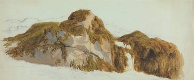 Studie van Rotsen Bedekt met Zeewier door Edward Duncan