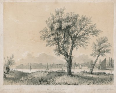 Wilgen aan de Theems bij Battersea door Edward Hassell