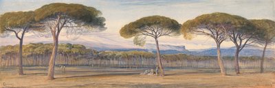 Uitzicht op de dennenbossen boven Cannes door Edward Lear