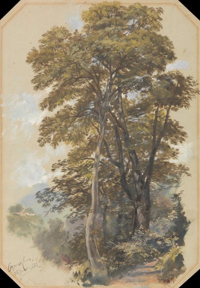 Steengroevekorps, 28 juni 1838 door Edward Lear