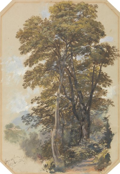  door Edward Lear