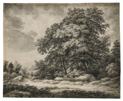 Boslandschap door Edward Lear