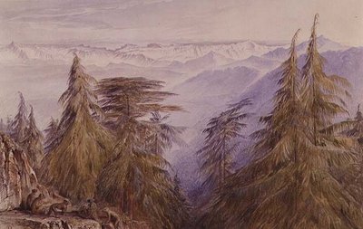 Apen op een rots bij Simla, Noord-India door Edward Lear