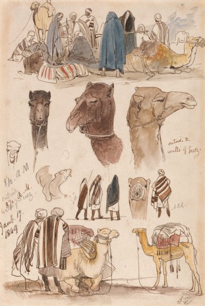 Buiten de stadsmuren van Suez, 8.30 uur, 17 januari 1849 (54) door Edward Lear