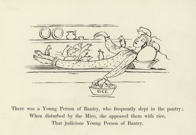 Er was een jong persoon uit Bantry, die vaak in de voorraadkast sliep door Edward Lear