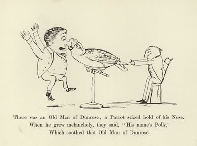 Er was een oude man van Dunrose; een papegaai greep zijn neus door Edward Lear
