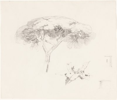 door Edward Lear