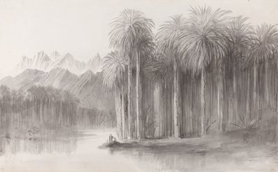 Wady Feiran, schiereiland van de Sinaïberg door Edward Lear