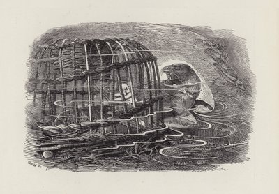 Illustratie voor The Water-Babies door Charles Kingsley door Edward Linley (after) Sambourne