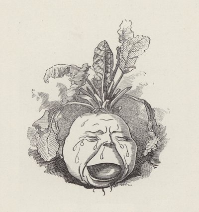 Illustratie voor The Water-Babies door Charles Kingsley door Edward Linley (after) Sambourne