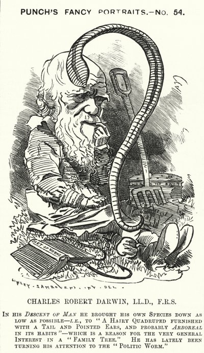 Punch cartoon: Charles Darwin, Engelse natuuronderzoeker en bioloog (gravure) door Edward Linley (after) Sambourne