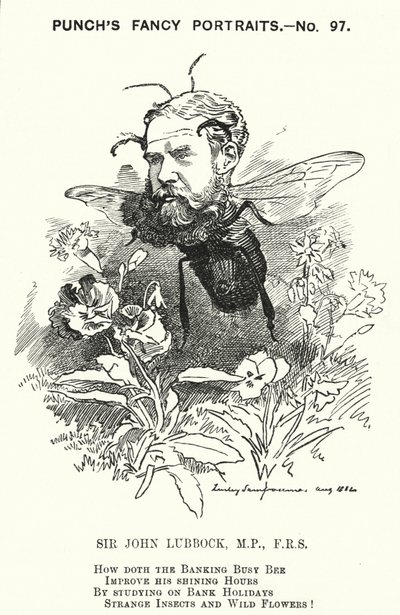 Punch cartoon: John Lubbock door Edward Linley (after) Sambourne