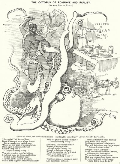 Punch cartoon: De Octopus van Romantiek en Realiteit (gravure) door Edward Linley (after) Sambourne