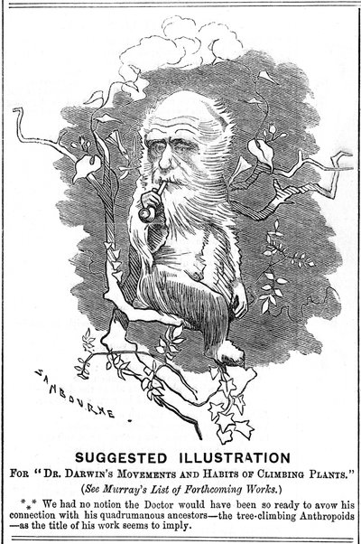 Charles Darwin, Engelse natuuronderzoeker, 1875 door Edward Linley Sambourne