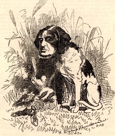 William GGV Vernon Harcourt (1827-1904) door Edward Linley Sambourne