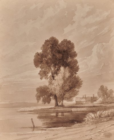 Landschap met bomen door Edward Pretty