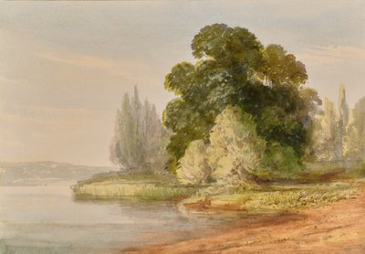 Landschap met bomen door Edward Pretty