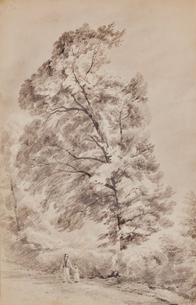 Landschap met Bomen door Edward Pretty