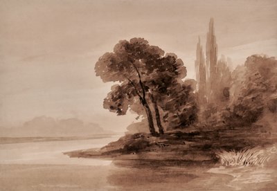 Landschap met bomen door Edward Pretty