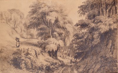 Landschap met vrouw en pad door Edward Pretty