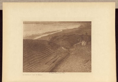 Een gedeeltelijk opengesneden walvis door Edward S. Curtis