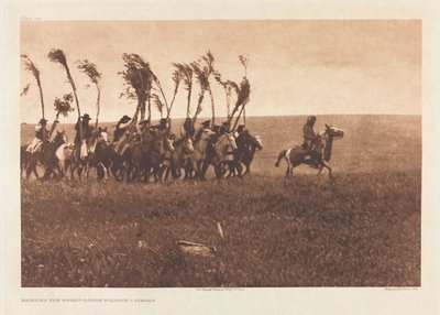Portfolio VI, Plaat 205: Het Brengen van de Zweetlodgewilgen - Piegan door Edward S. Curtis