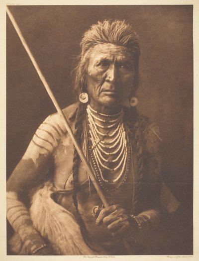 Wolf - Apsaroke door Edward S. Curtis