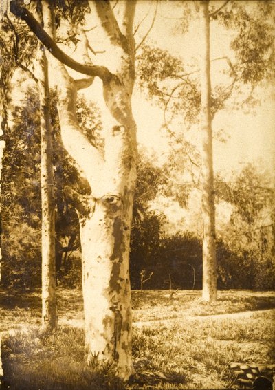 Auf dem Bauernhof, Seattle, Washington door Edward Sheriff Curtis