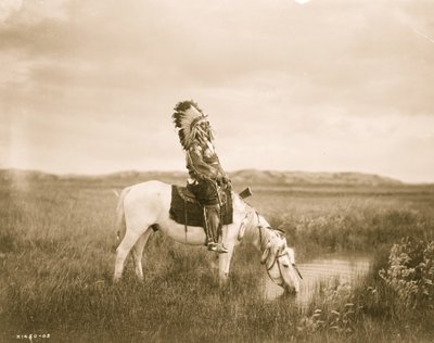 Oase in de Badlands 1905 door Edward Sheriff Curtis