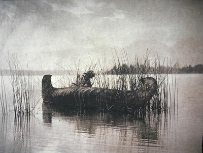De Rietverzamelaar, Montana door Edward Sheriff Curtis