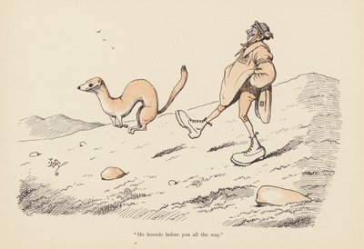 Staarten met een Twist: De Wezel door Edward Tennyson Reed