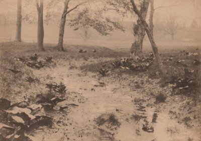 Lentelandschap,jaren 1890 (foto) door Edward Willis Redfield