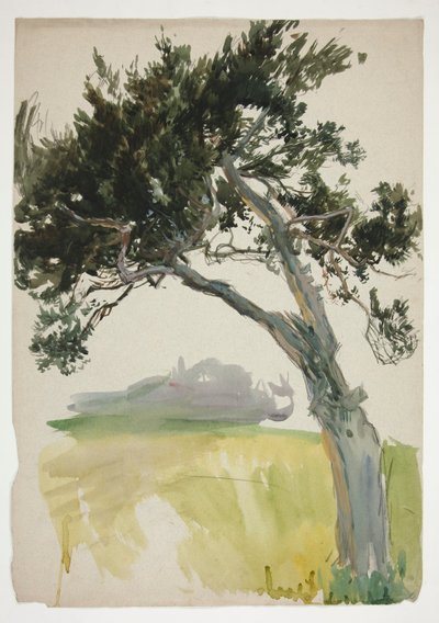 Studie van een boom en veld door Edwin Austin Abbey
