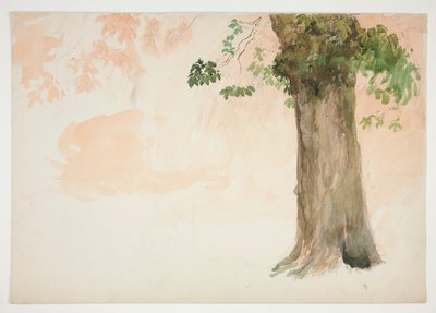 Studie van een boomstam door Edwin Austin Abbey