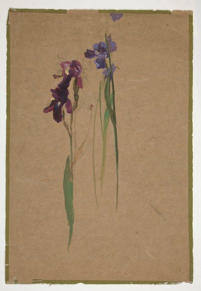 Studie van irissen door Edwin Austin Abbey