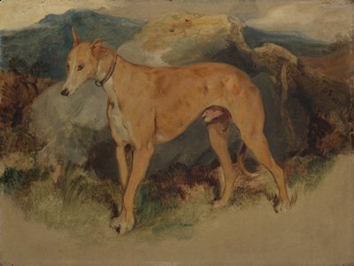 Een Deerhound door Edwin Landseer