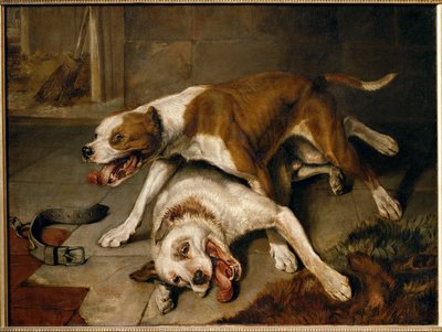 Chiens se battant, reprenant leur souffle - vechtende honden pauzeren voor adem ... door Edwin Landseer