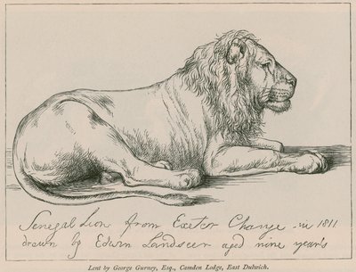 Senegalese Leeuw van Exeter Change door Edwin Landseer