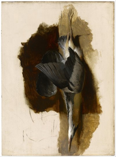 Studie van een dode reiger door Edwin Landseer