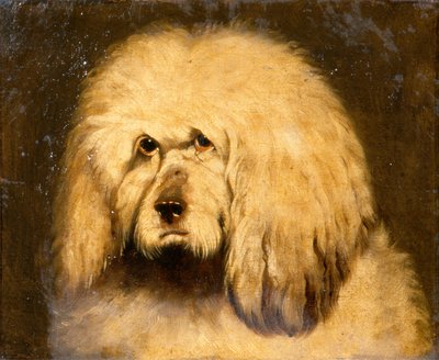 Studie van een hondenkop door Edwin Landseer