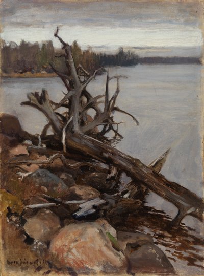 Dode den in het water door Eero Järnefelt