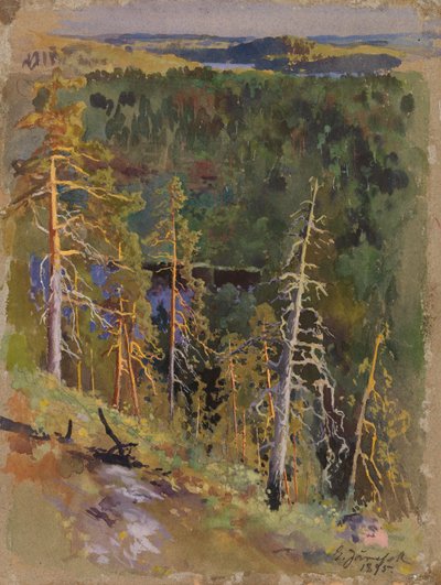  door Eero Järnefelt